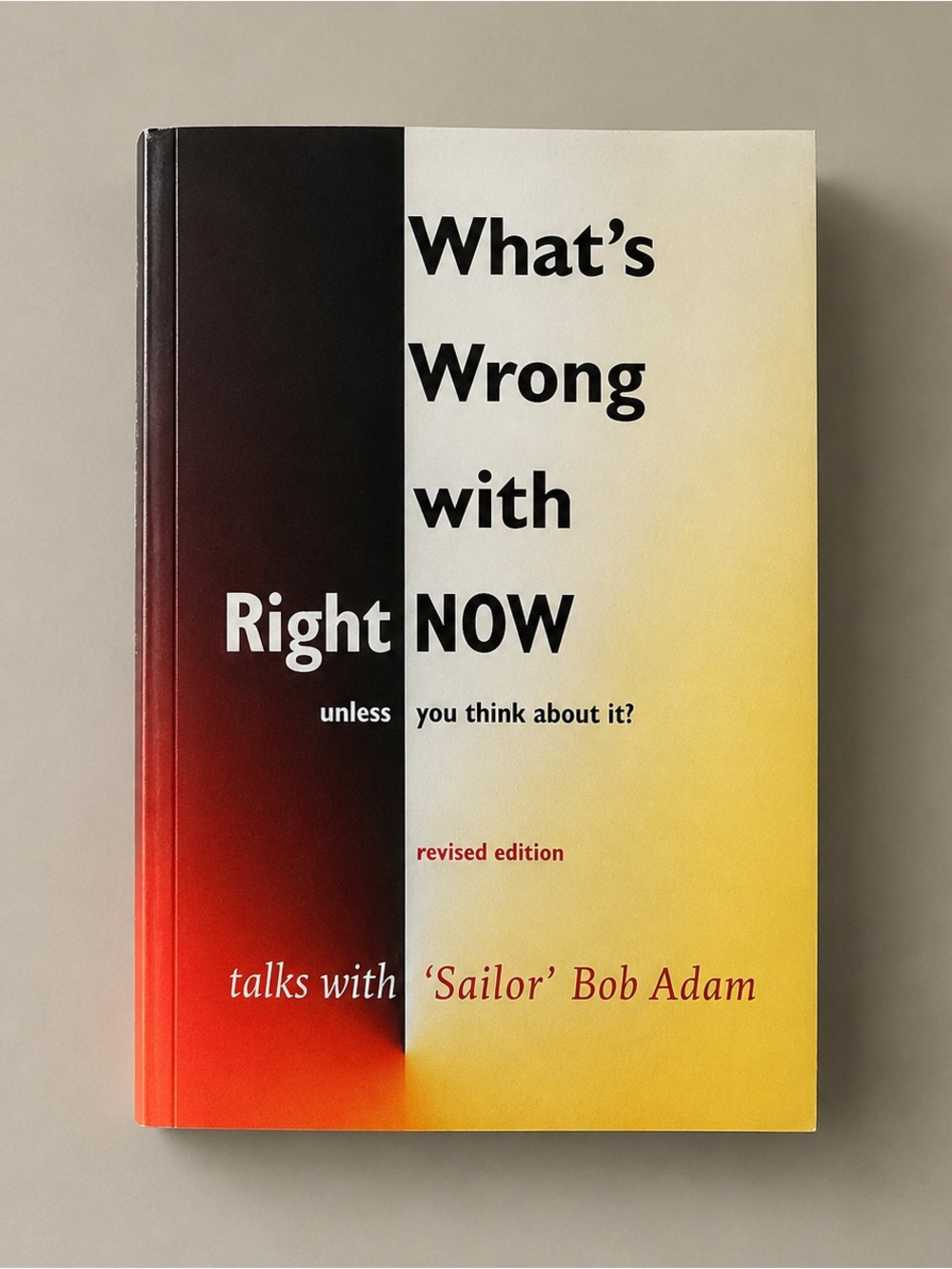 What's Wrong with Right Now? - Paperback By Sailor Bob Adamson